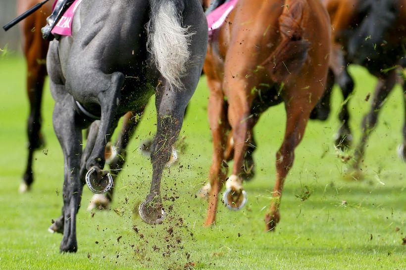 Programme de courses 2018 : Quelles sont les nouveautés ? Programme de courses 2018 : Quelles sont les nouveautés ?