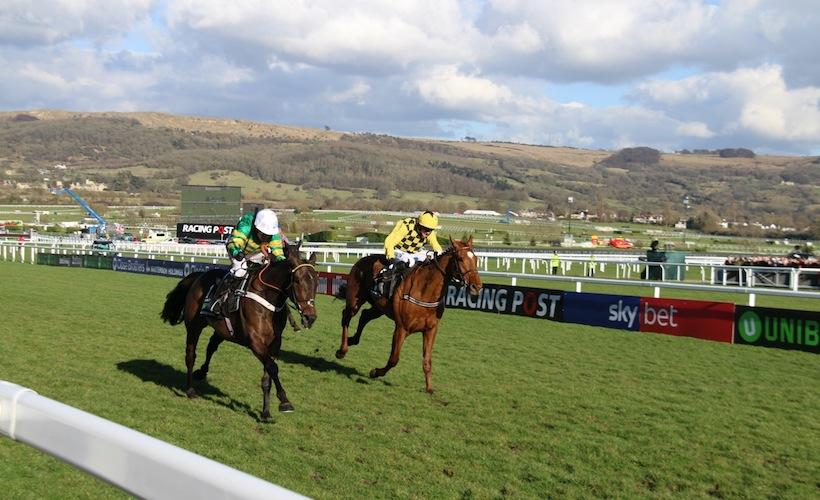 Buveur d'Air, Footpad et Bénie des Dieux sacrés au Festival de Cheltenham Buveur d'Air, Footpad et Bénie des Dieux sacrés au Festival de Cheltenham